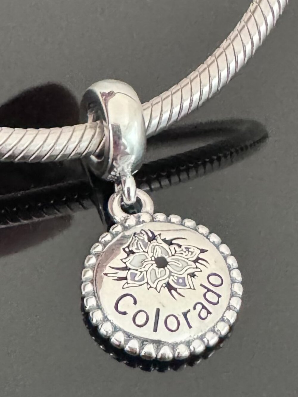 Pandora Colorado Exclusive Charm